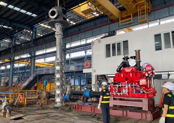 ডিজেল ইঞ্জিন ড্রাইভার চালিত উল্লম্ব টারবাইন পাম্প