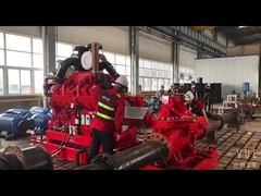 সাক্ষী পরীক্ষা